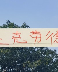 开云体育官网-骨头里都是肉！海港新中场体脂率 去年就让如萨都扛不住