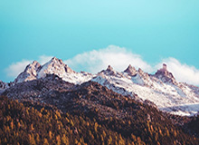 华体会——开启全新体育娱乐体验